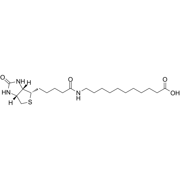 (+)-Biotin-SLC 1864003-57-5